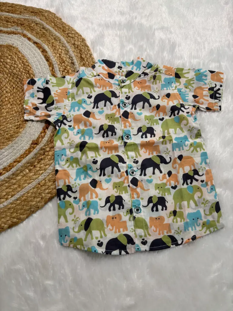 White Multicolor Elephant